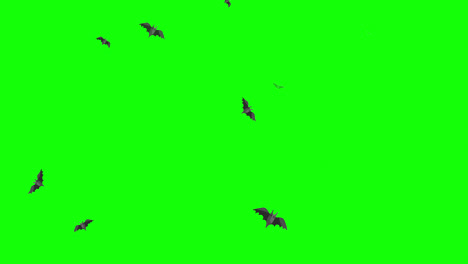 Halloween-Fledermaus-Fliegenschleife,-Bewegungsgrafikvideo,-Transparenter-Hintergrund-Mit-Alphakanal